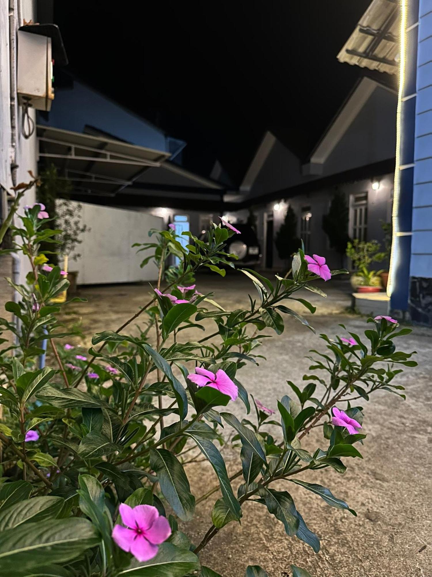 Motel Khanh Vy Bao Loc Exteriör bild